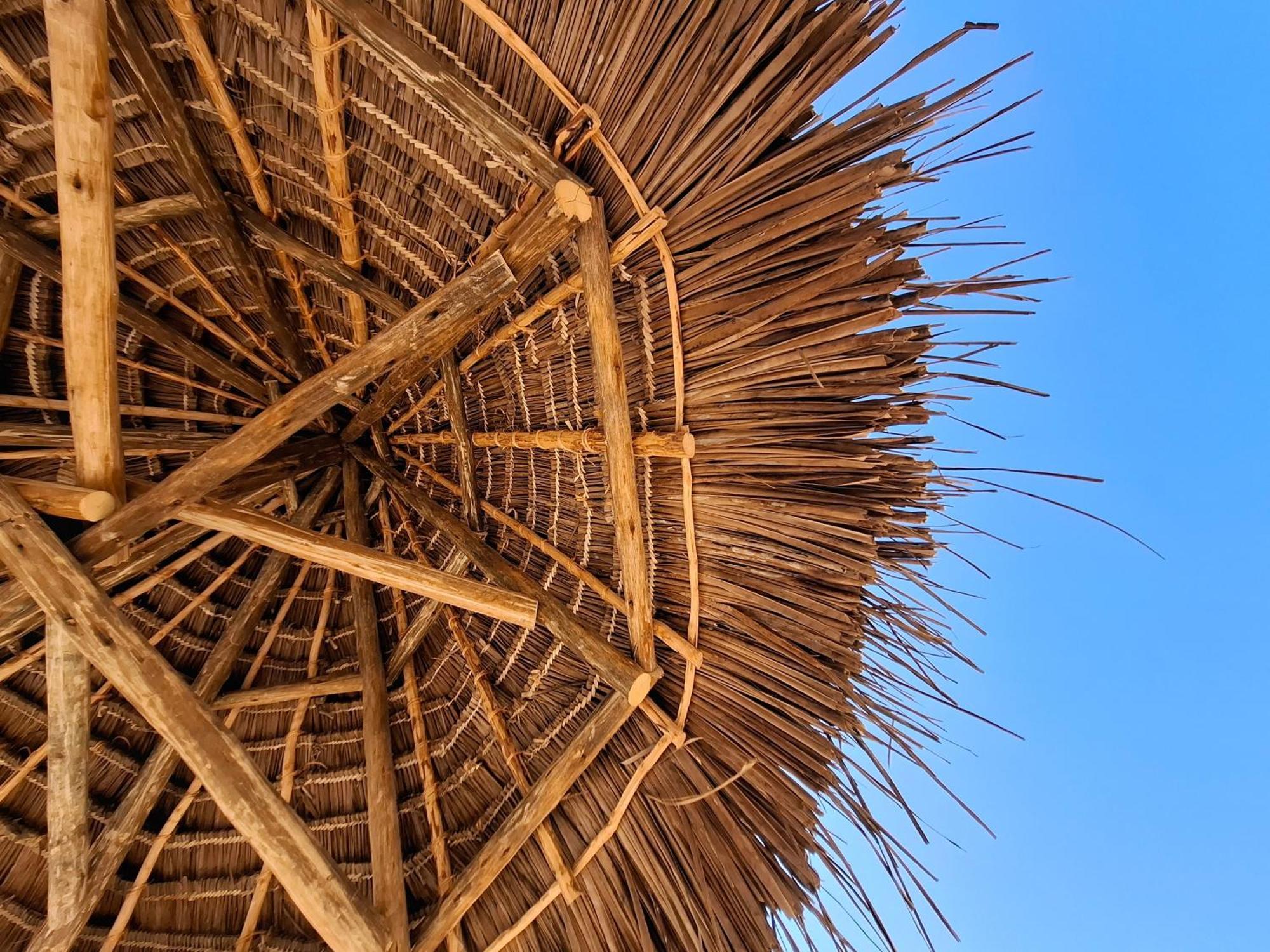 Blooming Zanzibar Hotel Jambiani  Ngoại thất bức ảnh