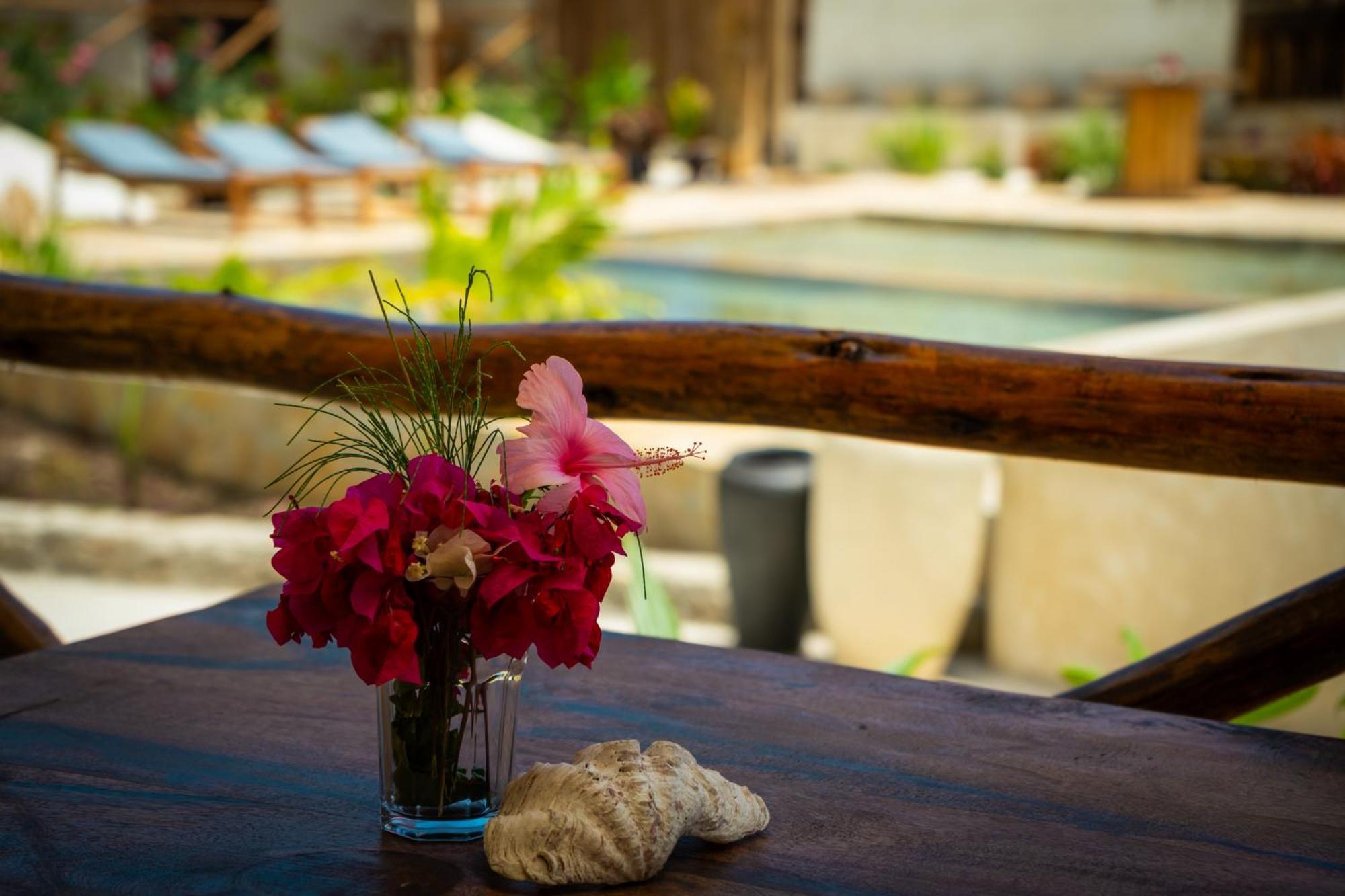 Blooming Zanzibar Hotel Jambiani  Ngoại thất bức ảnh