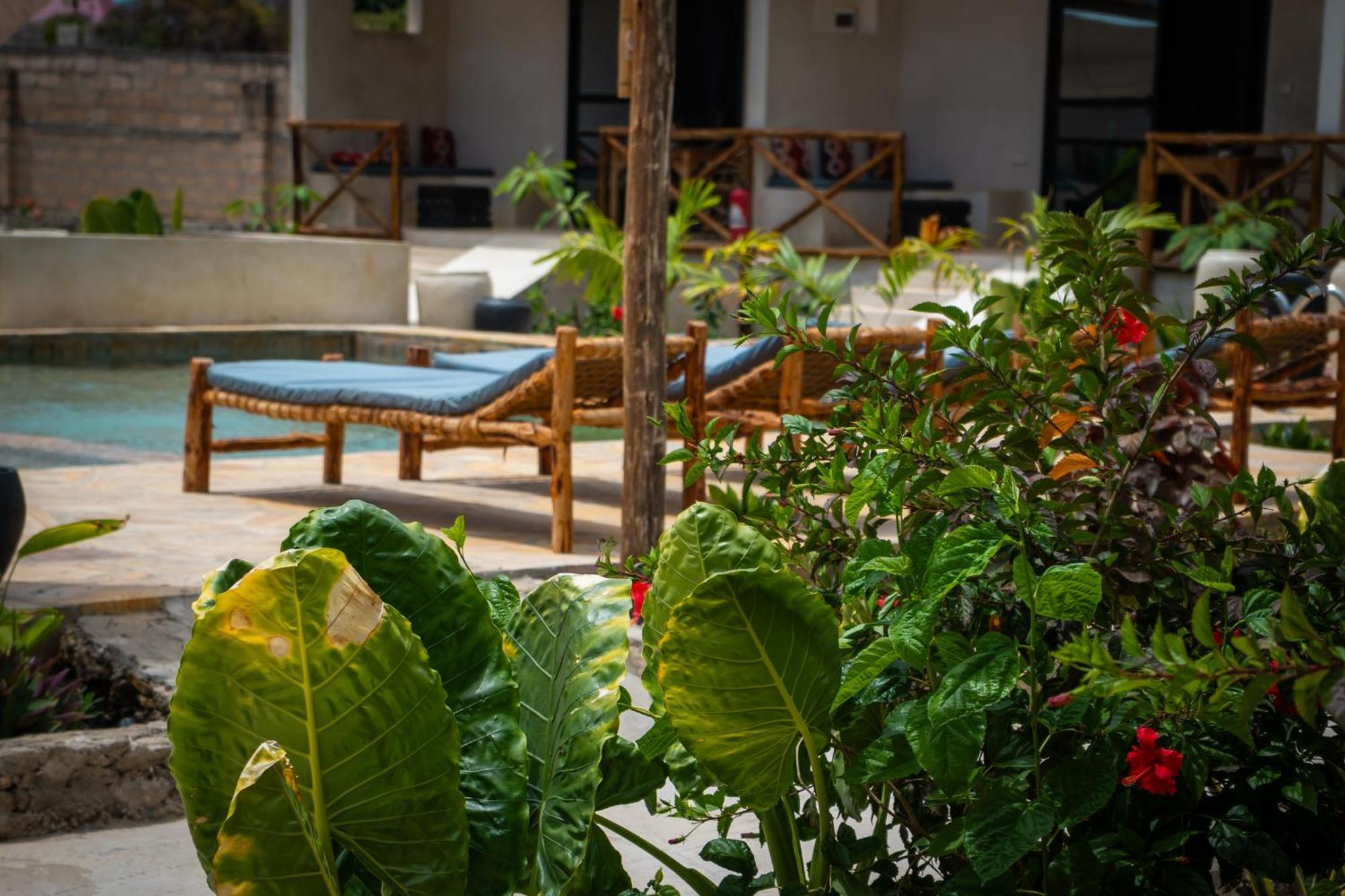 Blooming Zanzibar Hotel Jambiani  Ngoại thất bức ảnh
